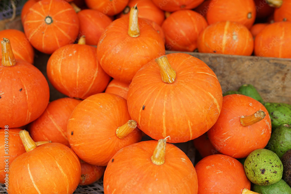 Healthy and fresh pumpkins are neatly arranged in baskets for sale in traditional markets. fresh orange vegetable background Healthy and fresh pumpkins are neatly arranged in baskets for sale in traditional markets. fresh orange vegetable background
