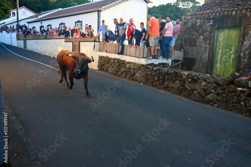 Scenes of Azores, Portugal