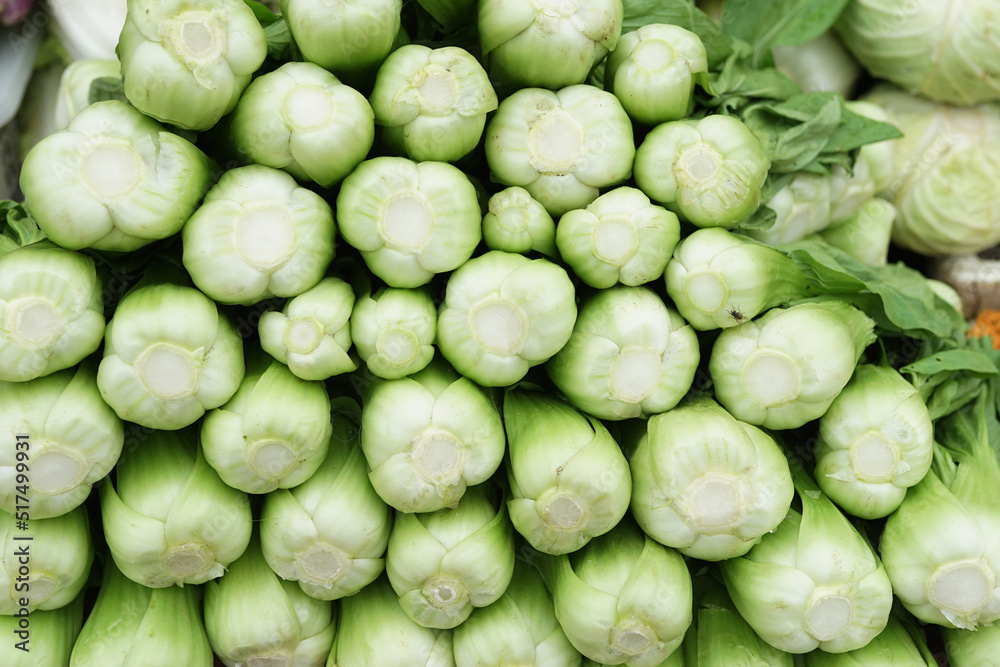 healthy and fresh pakcoy vegetables neatly arranged for sale in the market. healthy and fresh vegetable background healthy and fresh pakcoy vegetables neatly arranged for sale in the market. healthy and fresh vegetable background