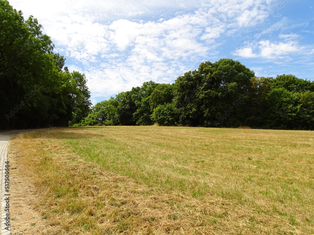 Obraz premium nature