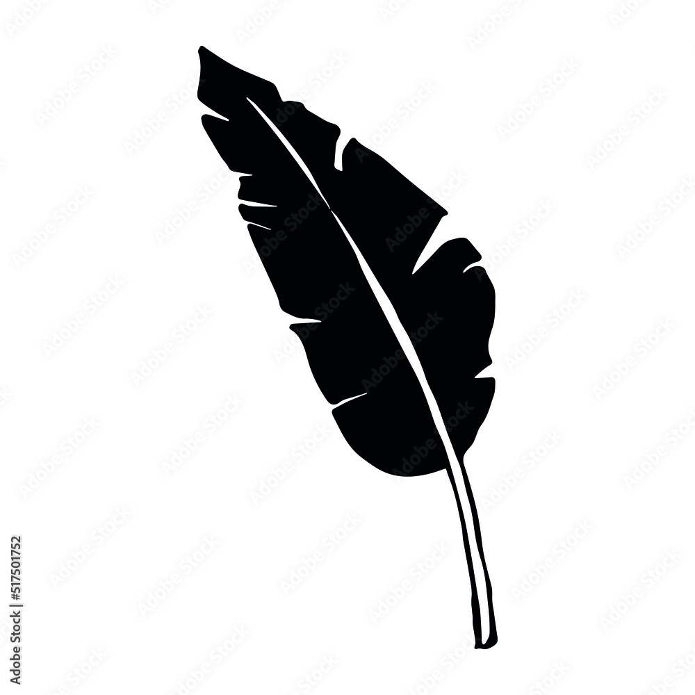 Simple tropical leaf silhouette illustration. Hand drawn vector banana