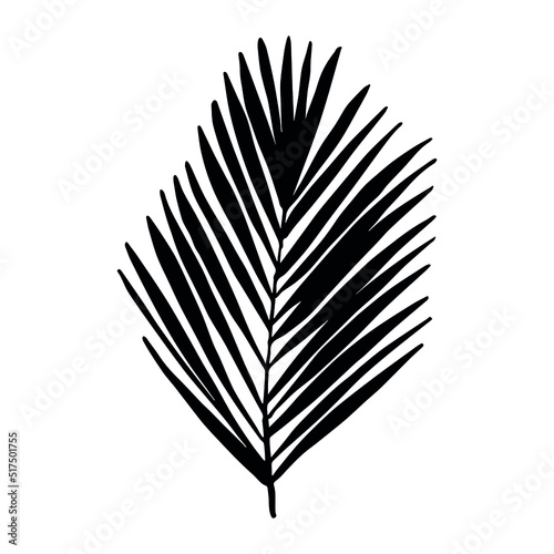 Simple tropical leaf silhouette illustration. Hand drawn vector clipart. Botanical doodle for print  web  design  decor  logo.