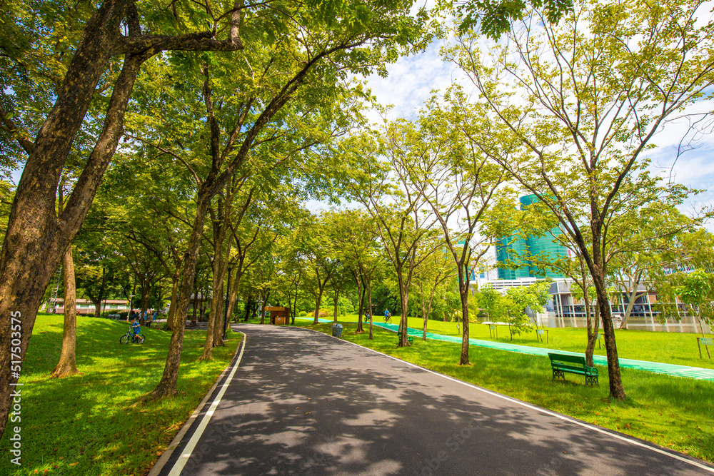 Empty green bike track in city public park