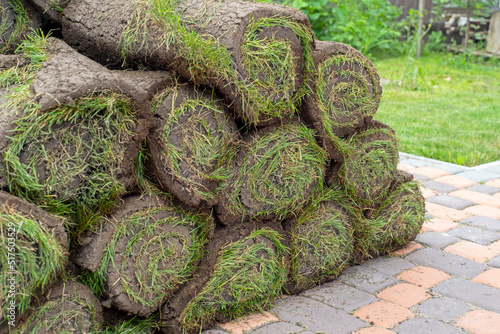 stacks of sod rolls for new lawn photo