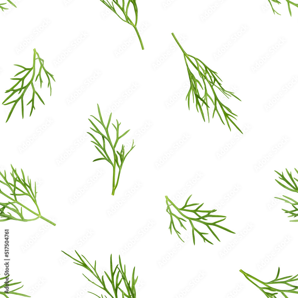 Dill isolated on white background, SEAMLESS, PATTERN