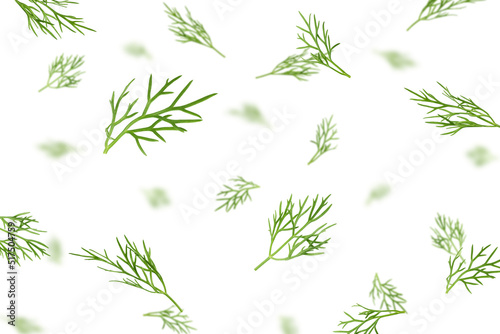 Falling Dill isolated on white background  selective focus