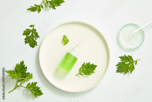 mugwort decorated with petri dish and glassware , top view , nature plant for benefit of health , white background for health advertising