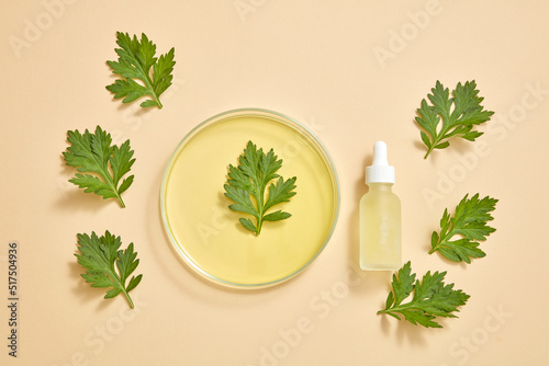 Mugwort goods for skin care , decorated with cosmetic jar , ingredient using for cosmetic , cosmetic from nature advertising 