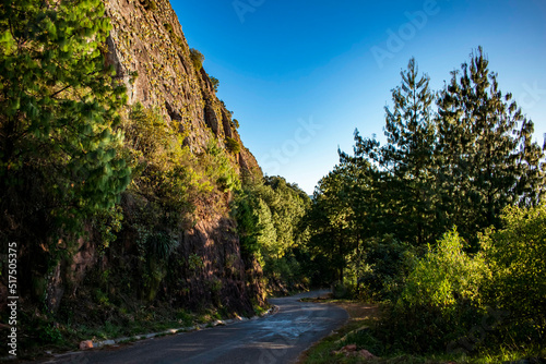 Camino sinuoso a Samaipata, en medio de paisaje de Pinos photo