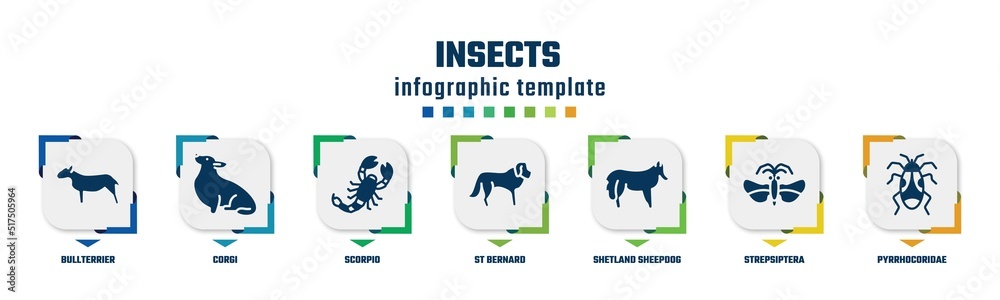 insects concept infographic design template. included bullterrier, corgi, scorpio, st bernard, shetland sheepdog, strepsiptera, pyrrhocoridae icons and 7 option or steps.