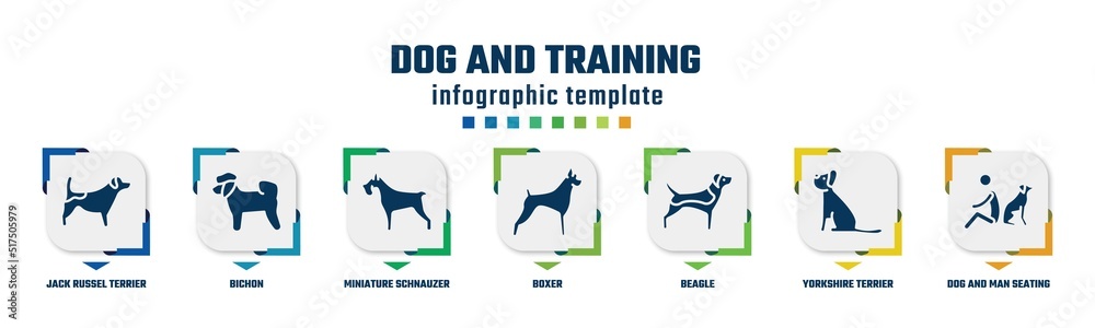 dog and training concept infographic design template. included jack russel terrier, bichon, miniature schnauzer, boxer, beagle, yorkshire terrier, dog and man seating icons and 7 option or steps.