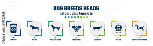 dog breeds heads concept infographic design template. included pet food, mastiff, pharaoh hound, psocoptera, dachshund, pet clo, german shorthaired pointer icons and 7 option or steps.