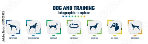 dog and training concept infographic design template. included rottweiler, chinese crested, kurzhaar, pet collar, doberman, dog licking, greyhound icons and 7 option or steps.