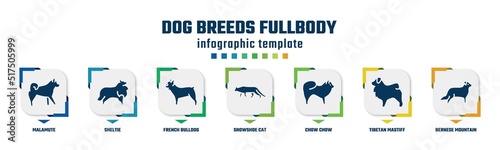 dog breeds fullbody concept infographic design template. included malamute, sheltie, french bulldog, snowshoe cat, chow chow, tibetan mastiff, bernese mountain icons and 7 option or steps.