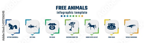 free animals concept infographic design template. included sitting squirrell, big tuna, pig head, chewing bone for dog, horse with leg up, frog head, whale swimming icons and 7 option or steps.