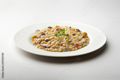 White plate of risotto with mixed mushrooms and parsley © antoniotruzzi