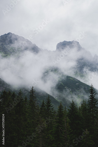 Mountain peaks and forests in clouds and fog. Tatras, Poland.