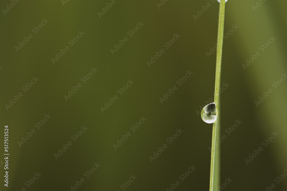 Wassertropfen Wassertropfen