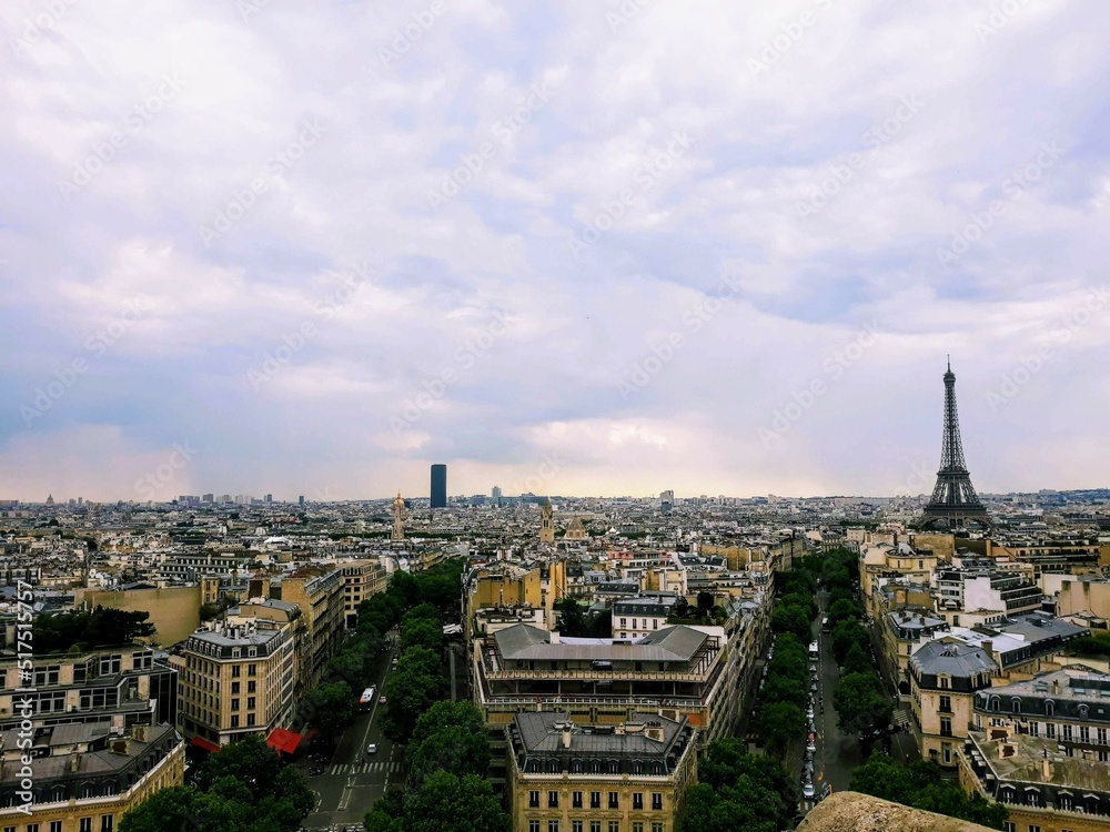 View of Paris from Triumph Arc