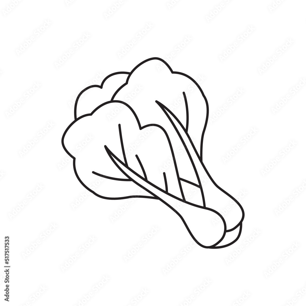 Bok choy icon in line style icon, isolated on white background Bok choy icon in line style icon, isolated on white background