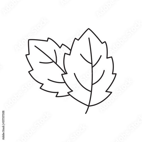 menthol leaf icon in line style icon, isolated on white background
