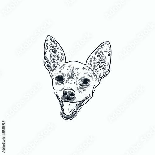 Vintage hand drawn sketch chihuahua dog