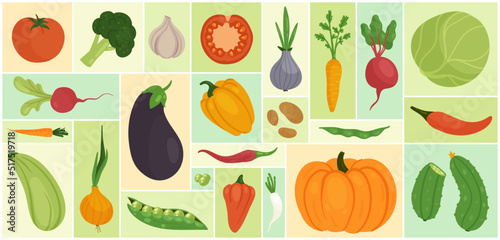 Vegetable set vector illustration. Cartoon fresh farm food ingredients for cooking, whole and half tomato cabbage daikon zucchini onion cucumber garlic pumpkin beet in geometric collage background