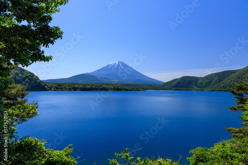 夏の美しい本栖湖と富士山