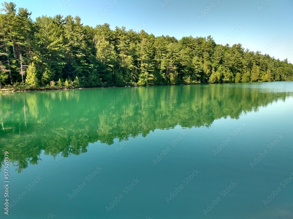 reflection of trees in water