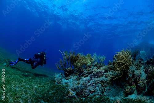 Scuba diver with reef and fish