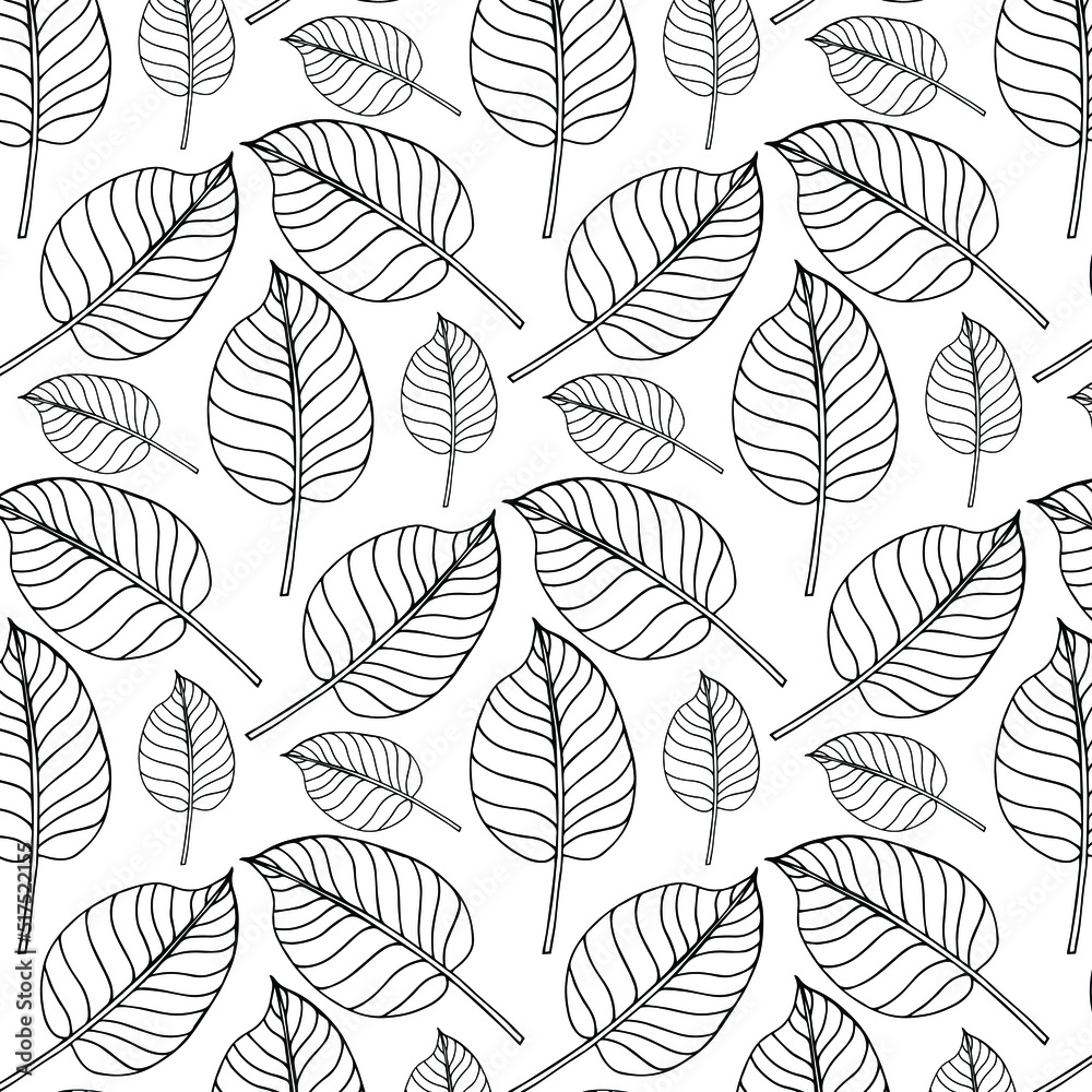 Tropic plants floral seamless jungle pattern. Print vector background of fashion summer wallpaper palm leaves in black and white gray style