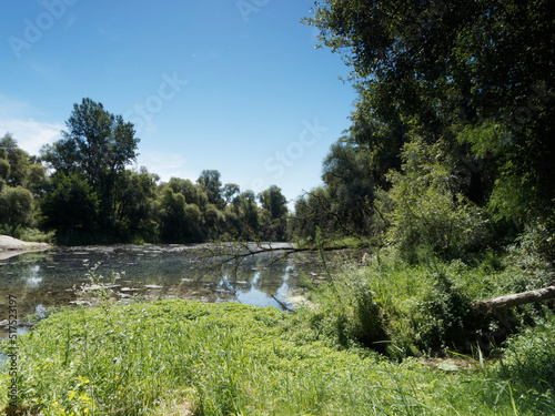 Naturschutzgebiet in der ehemaligen Rheinaue. Grosser Rundgang 'Spitze der Rheininsel'. Blick auf den Altrhein im südlichen Elsass und südbadische photo