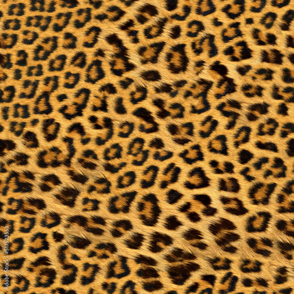 Leopard Seamless Animal Skin and Fur Textures, Closeup Natural