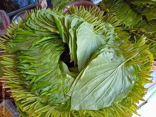Close up of Betel leaves selling on Local Retail Shop at chennai, India.