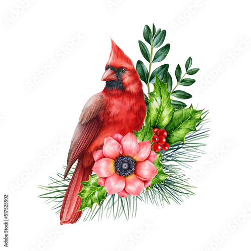 Fényképezés Red cardinal winter floral decor