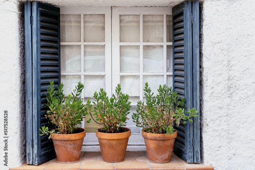Pots with plants in a white and blue window in a mediterranean village in summertime