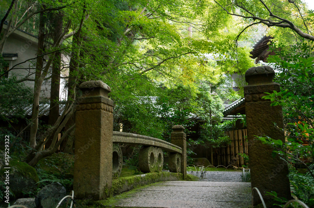 A garden with beautiful green maple leaves in Rurikoin, Kyoto, Japan A garden with beautiful green maple leaves in Rurikoin, Kyoto, Japan