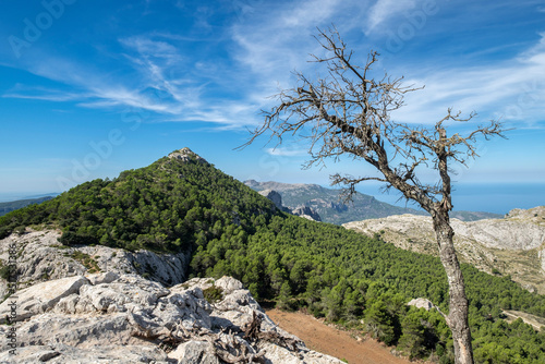 escusion de los tres miles, Puig l´Ofre, Paraje natural de la Serra de Tramuntana, Mallorca, balearic islands, Spain