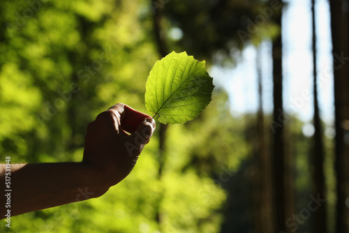 Green leaf in young man hand on a green forest background. Photo was taken 13 July 2022 year, MSK time in Russia. photo