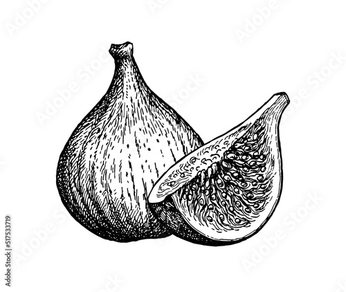 Figs ink sketch.