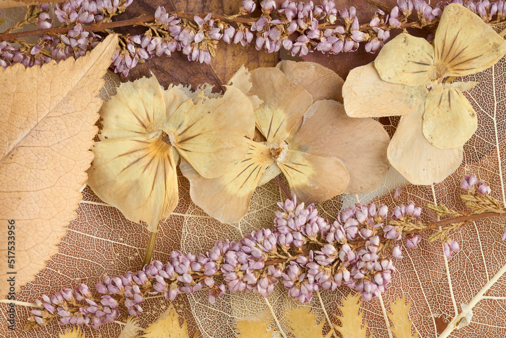 Kompozycja suszonych kwiatów i liści w odcieniach brązu - obrazy, fototapety, plakaty 