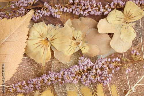 Kompozycja suszonych kwiatów i liści w odcieniach brązu