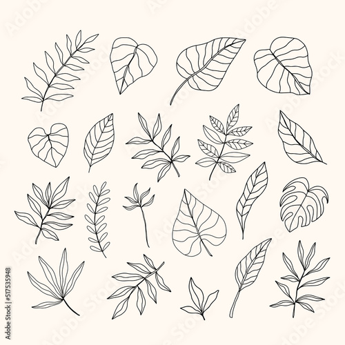 Vector Tropical Leaves set, hand drawn design elements