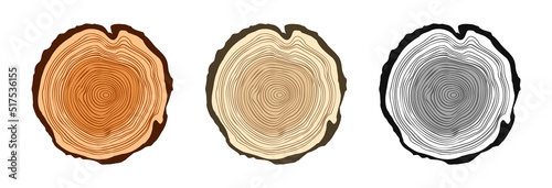 Round tree trunk cuts in various colors, sawn pine or oak slices, lumber. Saw cut timber, wood. Brown wooden texture with tree rings. Hand drawn sketch. Vector illustration