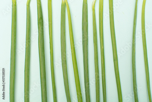 Fresh green onions on bright blue background. Healthy eating concept