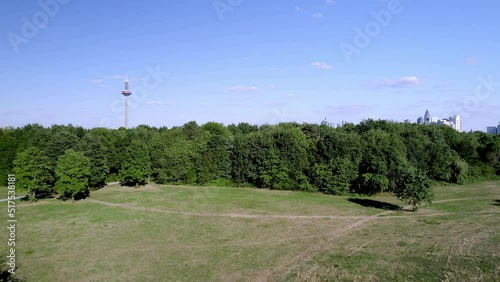 Frankfurt Park with TV Tower and Skyline Niddapark