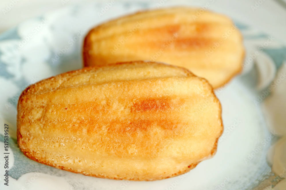 Closeup of a Pair of Mouthwatering Petite Madeleine Cakes