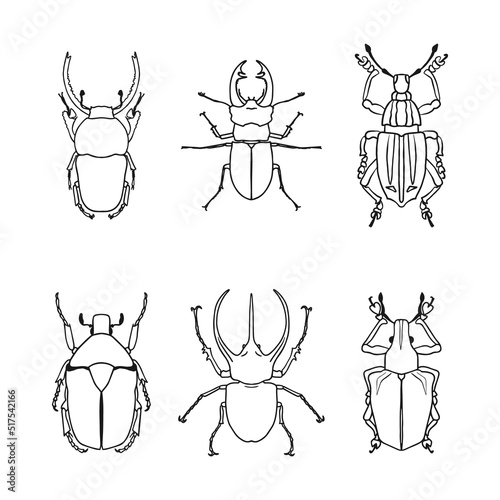 A set of isolated contour drawings of beetles on a white background. Doodle style. A design element.