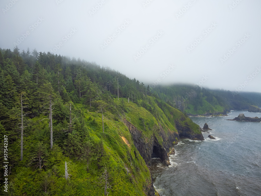 Sea coast. Ocean, Hilly shore, overgrown with moss, green grass and forest. calm scenes. There is no one in the photo. Leisure, travel, tourism, ecology, geology, weather.