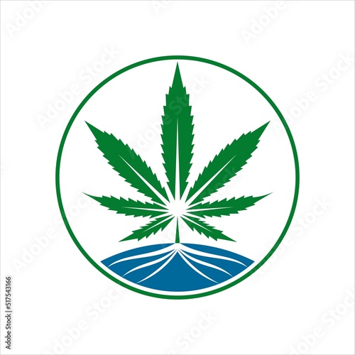Cannabis logo hemp design vector template